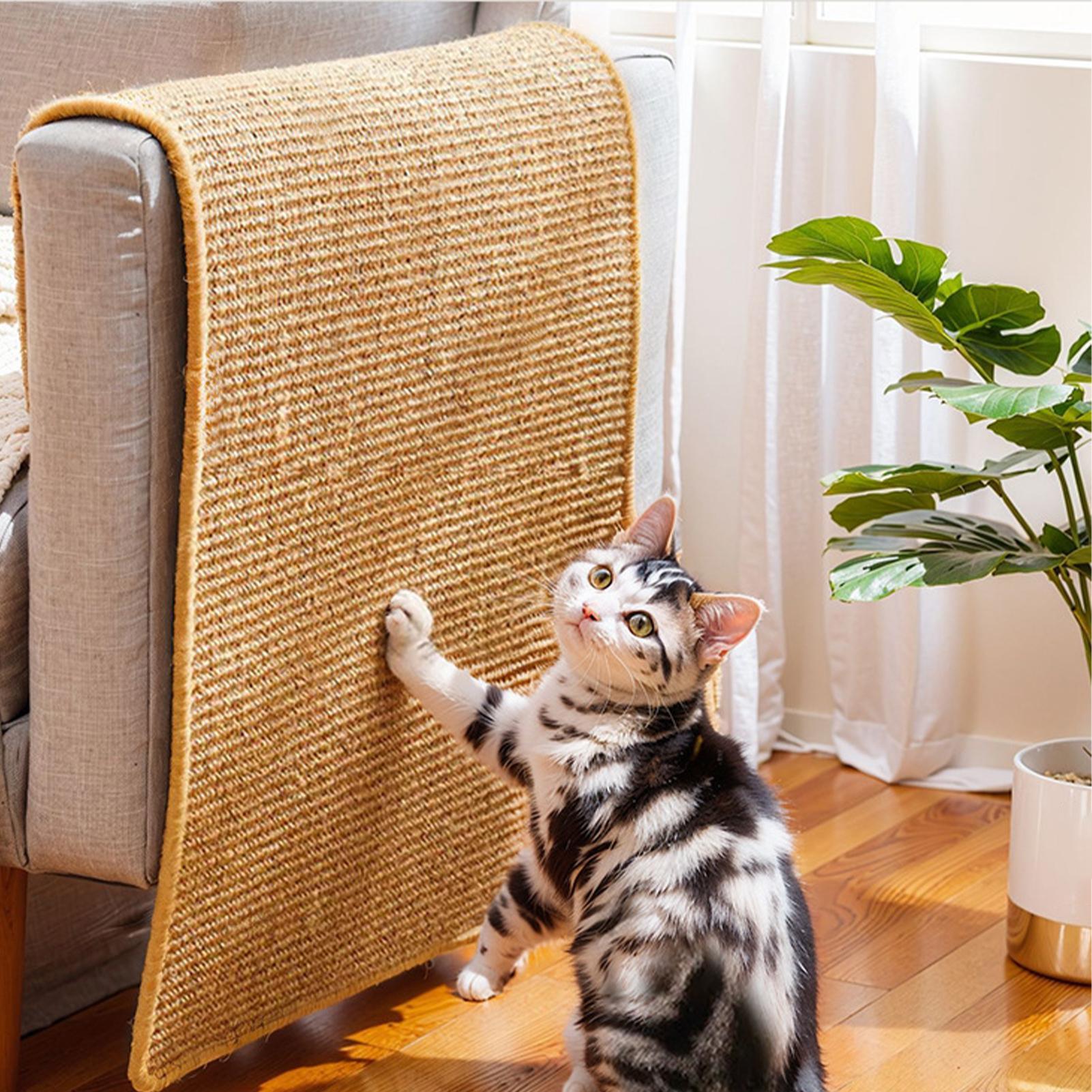 Self-Adhesive Cat Scratcher Ma - Cutting Mat Self Heal บทวิจารณ์และราคา